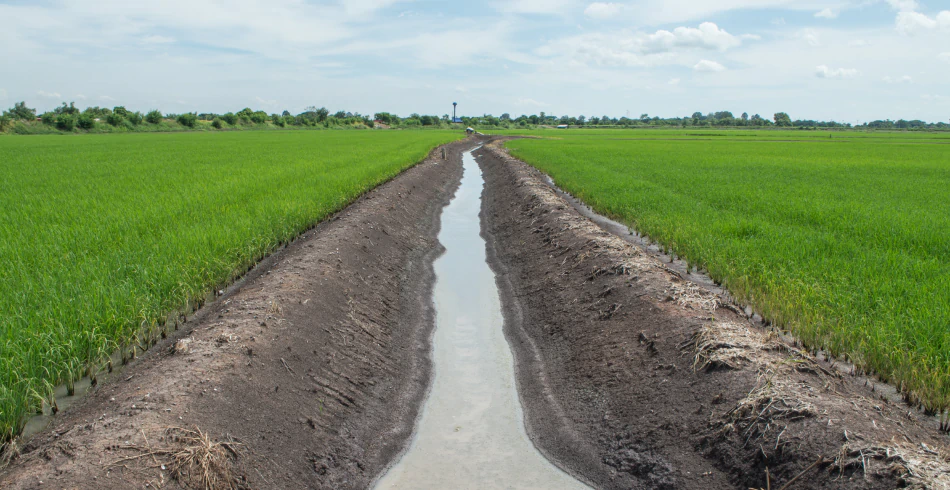 Drainage Solutions