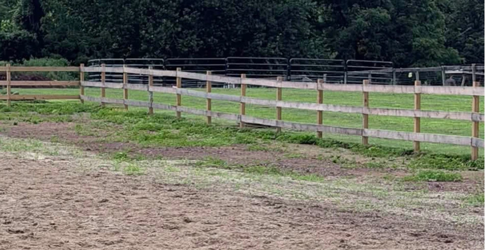 Fencing Fencing